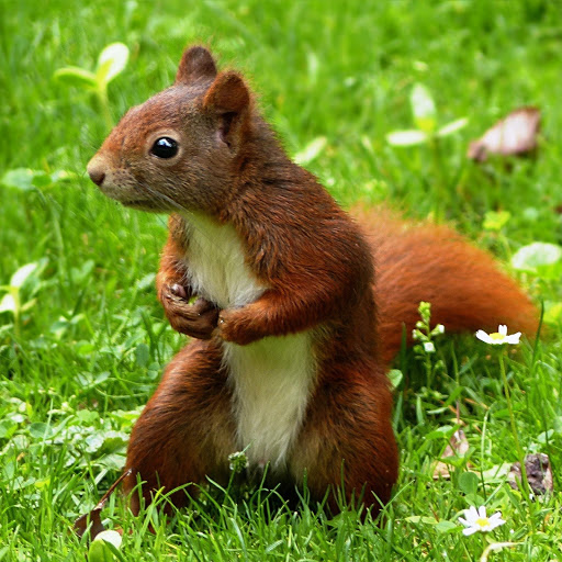 Hd-146389-ascw146389