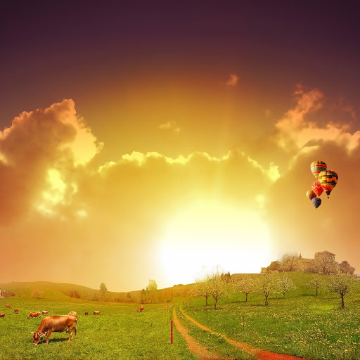 Hd-141227-ascw141227