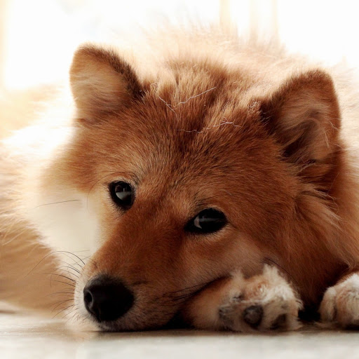 Hd-173674-ascw173674