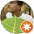Shridhar Tiwatane Shridhar Tiwatane