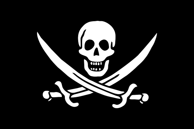 pirata pirata
