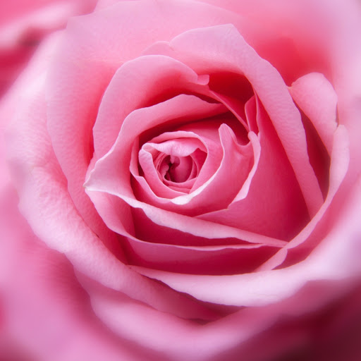 Hd-171761-ascw171761