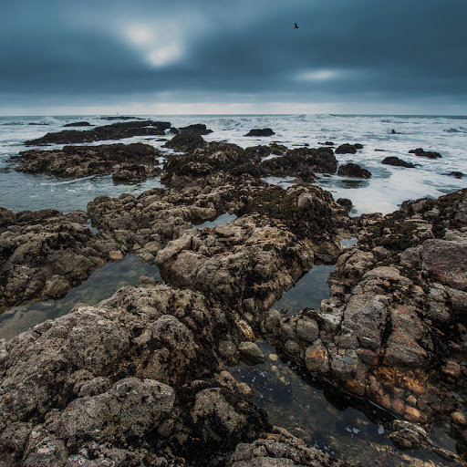 Hd-161234-ascw161234