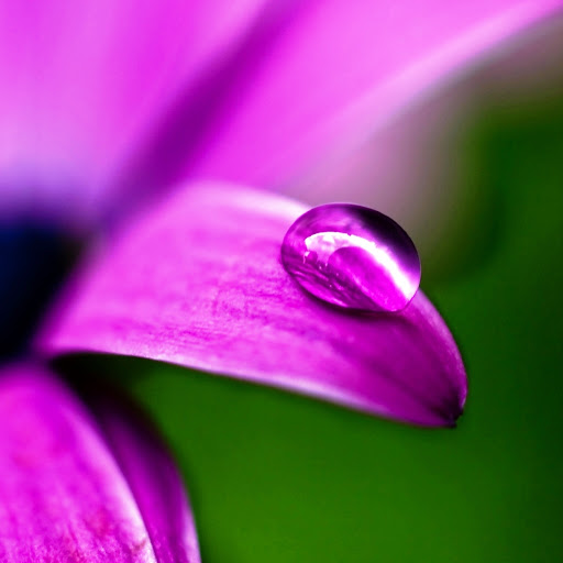 Hd-175719-ascw175719