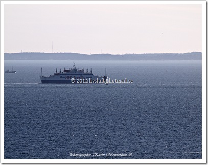 P1012512RC P1012512RC