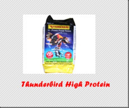 thunderbird high protein