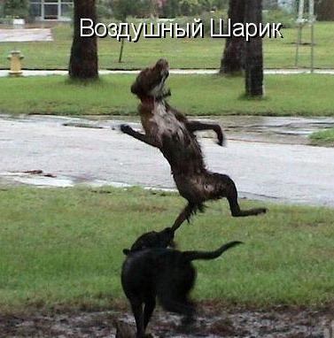 [1264940261_14%255B8%255D.jpg]