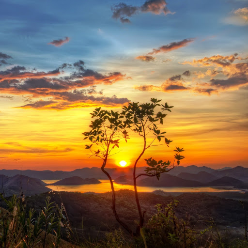 Hd-141713-ascw141713