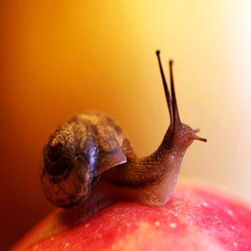 Hd-184578-ascw184578