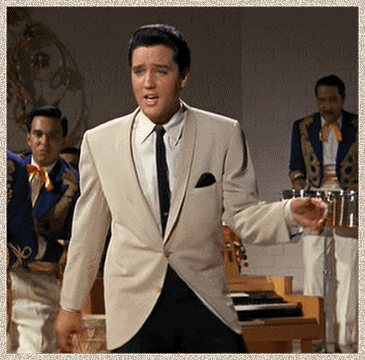 elvis imagenesifotos (6)