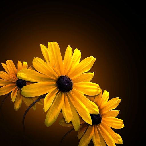 Hd-144230-ascw144230