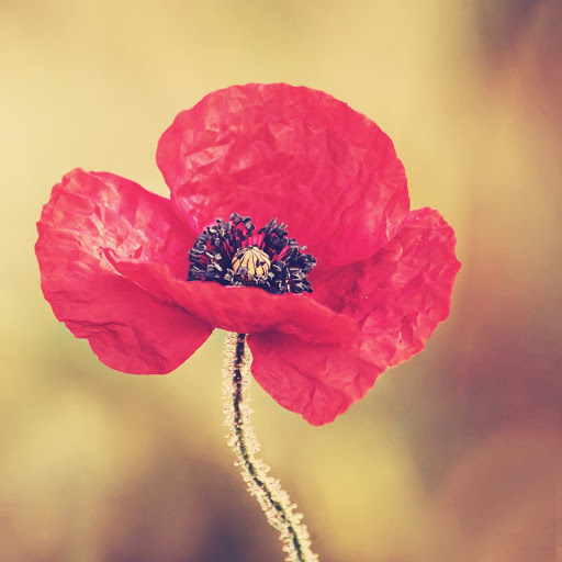 Hd-157824-ascw157824