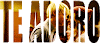 .gif