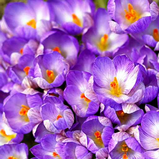 Hd-151903-ascw151903