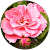 vilma dagnino vilma dagnino