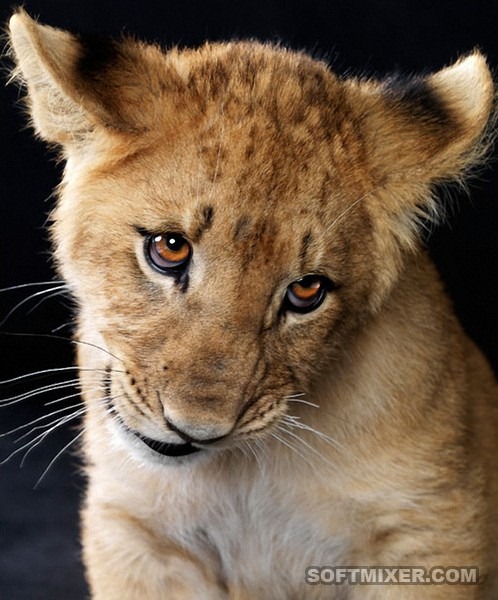 [scr0040%255B3%255D.jpg]