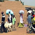 Igbo plan to leave Nigeria - Part 2