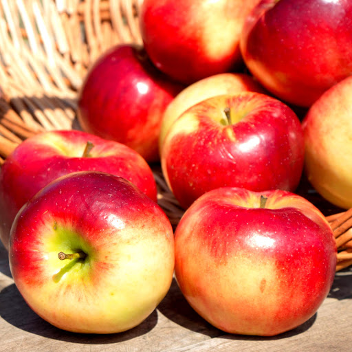 Hd-151846-ascw151846