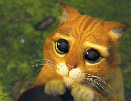 Puss-In-Boots-Movie-Poster%25255B5%25255D.jpg