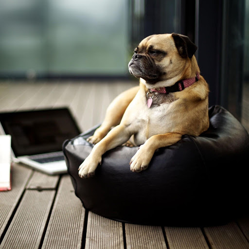 Hd-173956-ascw173956