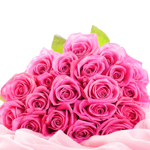 Hd-146295-ascw146295