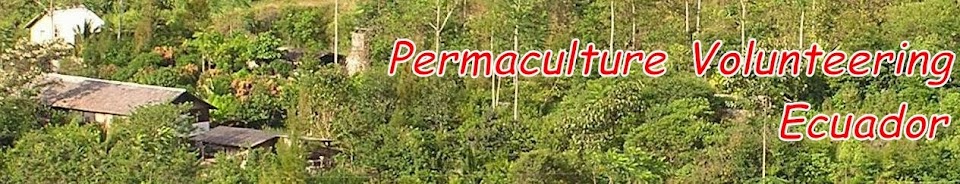 Permaculture Volunteering Ecuador