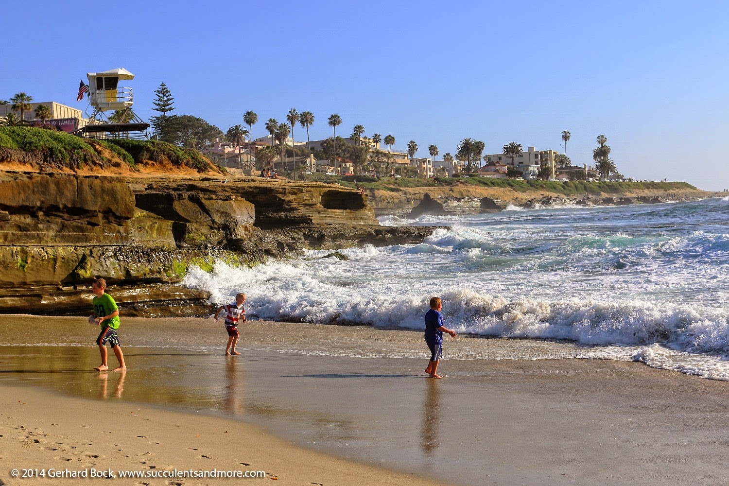 [150325_LaJolla_00515.jpg]