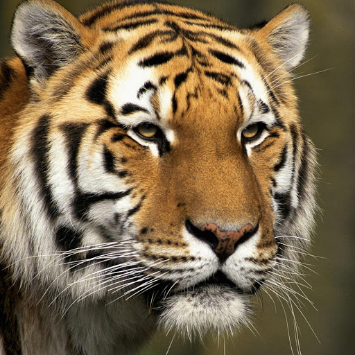 Hd-144713-ascw144713