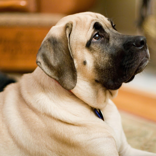 Hd-169983-ascw169983