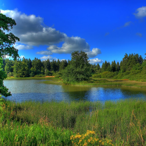 Hd-131476-ascw131476