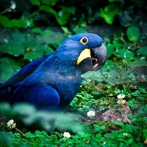 Hd-173889-ascw173889