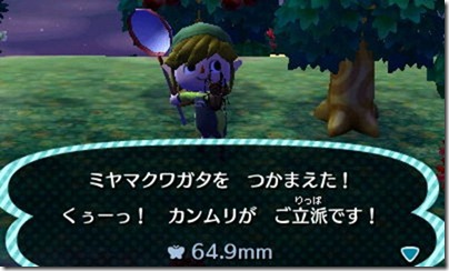 HNI_0035 HNI_0035