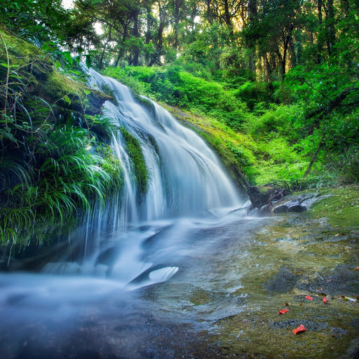 Hd-171528-ascw171528