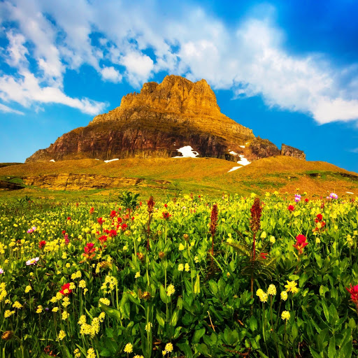 Hd-147487-ascw147487