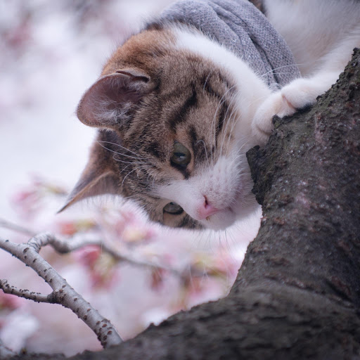 Hd-167855-ascw167855