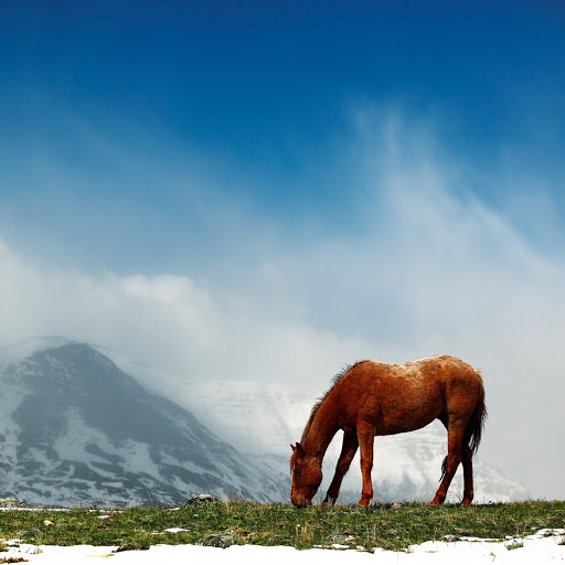 Hd-136455-ascw136455