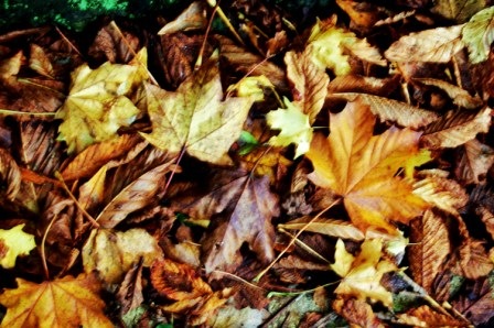 [CopyofLEWES24oct120243.jpg]