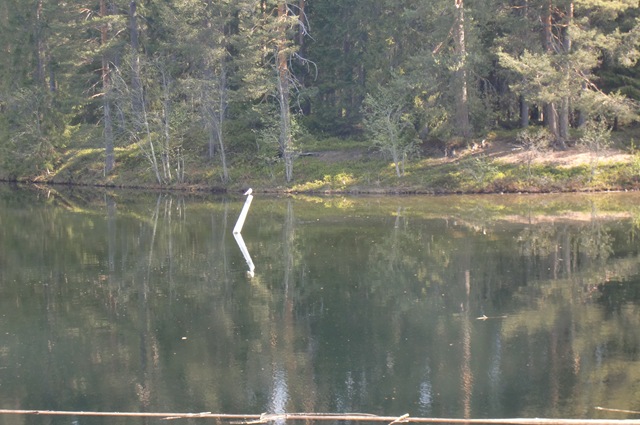 [Hogga-Telemark0045.jpg]