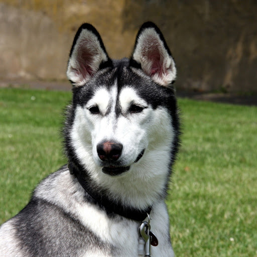 Hd-173669-ascw173669