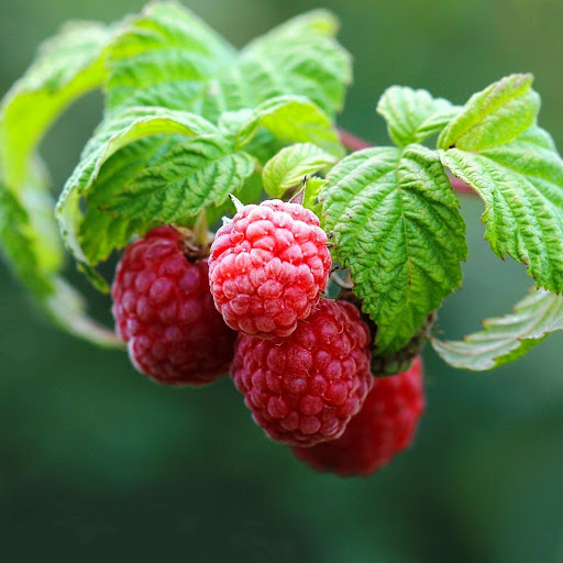 Hd-147604-ascw147604