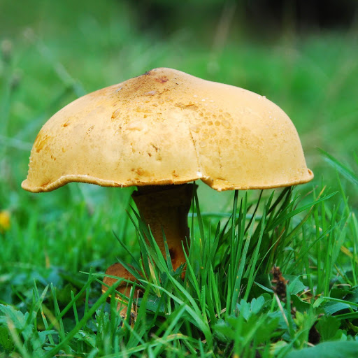 Hd-152798-ascw152798