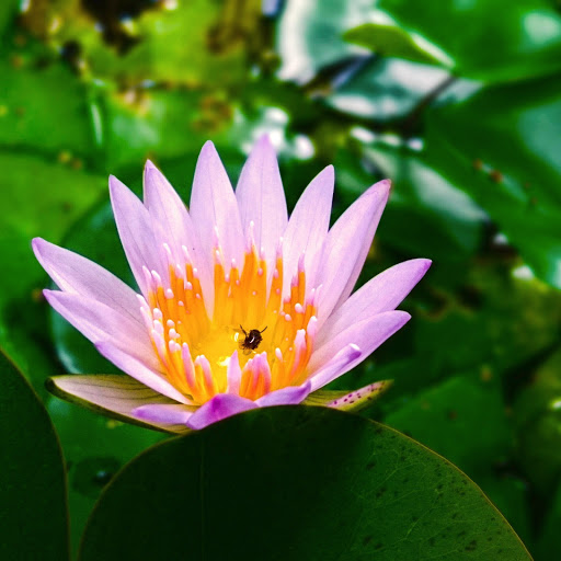 Hd-169946-ascw169946