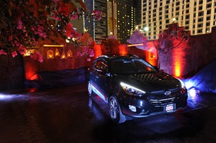 2013 LAIAAS Hyundai Party 