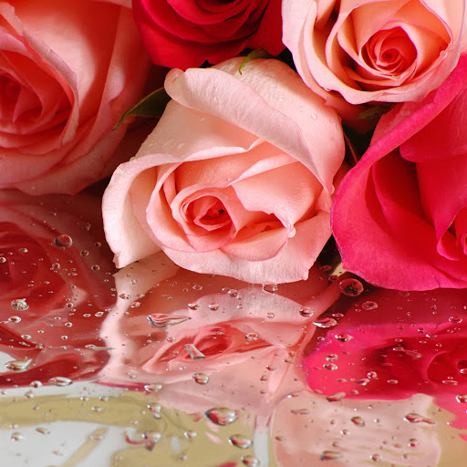 Hd-171077-ascw171077