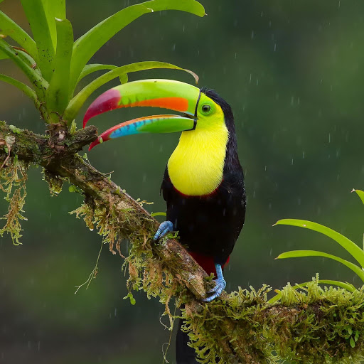 Hd-155948-ascw155948