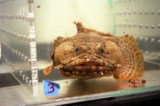 [clip_image013%255B4%255D.jpg]