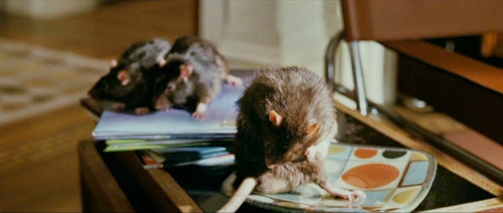[28-les-rats5.jpg]