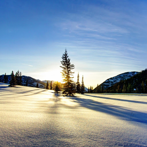 Hd-142157-ascw142157