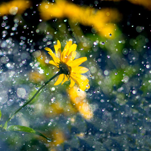 Hd-156678-ascw156678