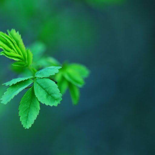 Hd-164241-ascw164241